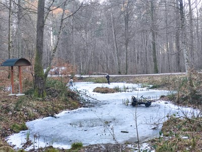 Waldlichtung mit Schneeresten