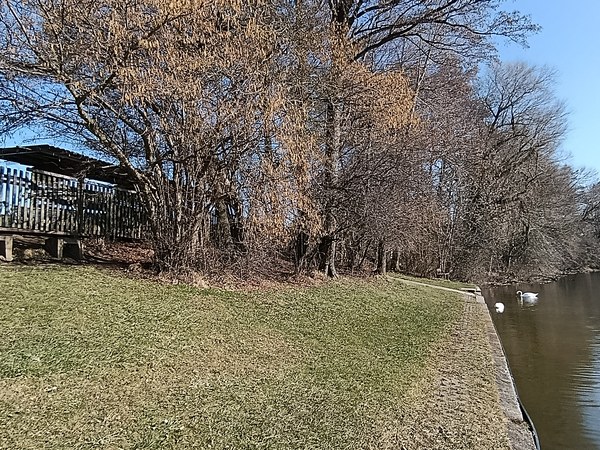 Picknickplatz am Bärensee